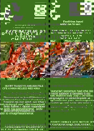 recycle-material-art