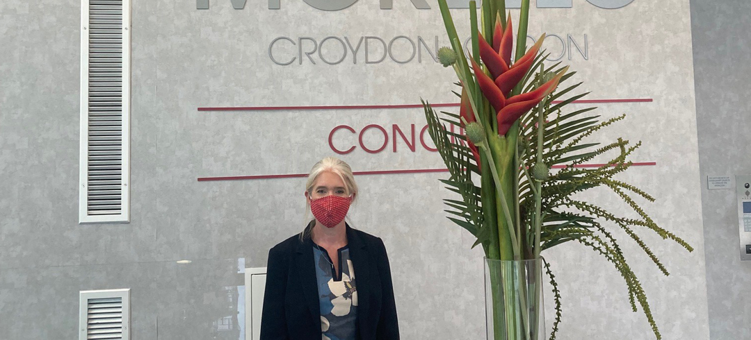 Sam Back To Floor Morello 2 10.9