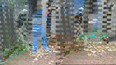 Bttf Paul Denton Gardening5