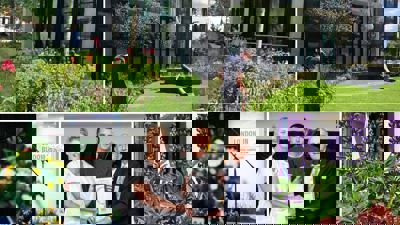 Collage For London In Bloom Blog