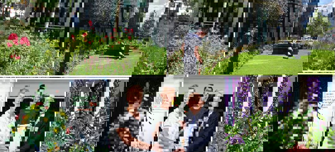 Collage For London In Bloom Blog