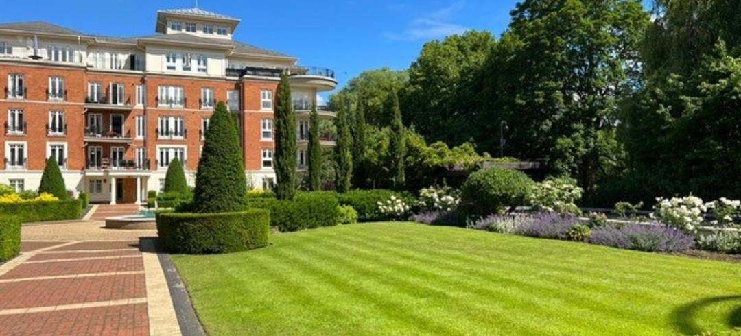 Untitled Design (30)